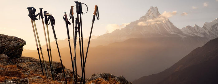4 Best Trekking Poles That You Can Buy Online! - Adventure HQ