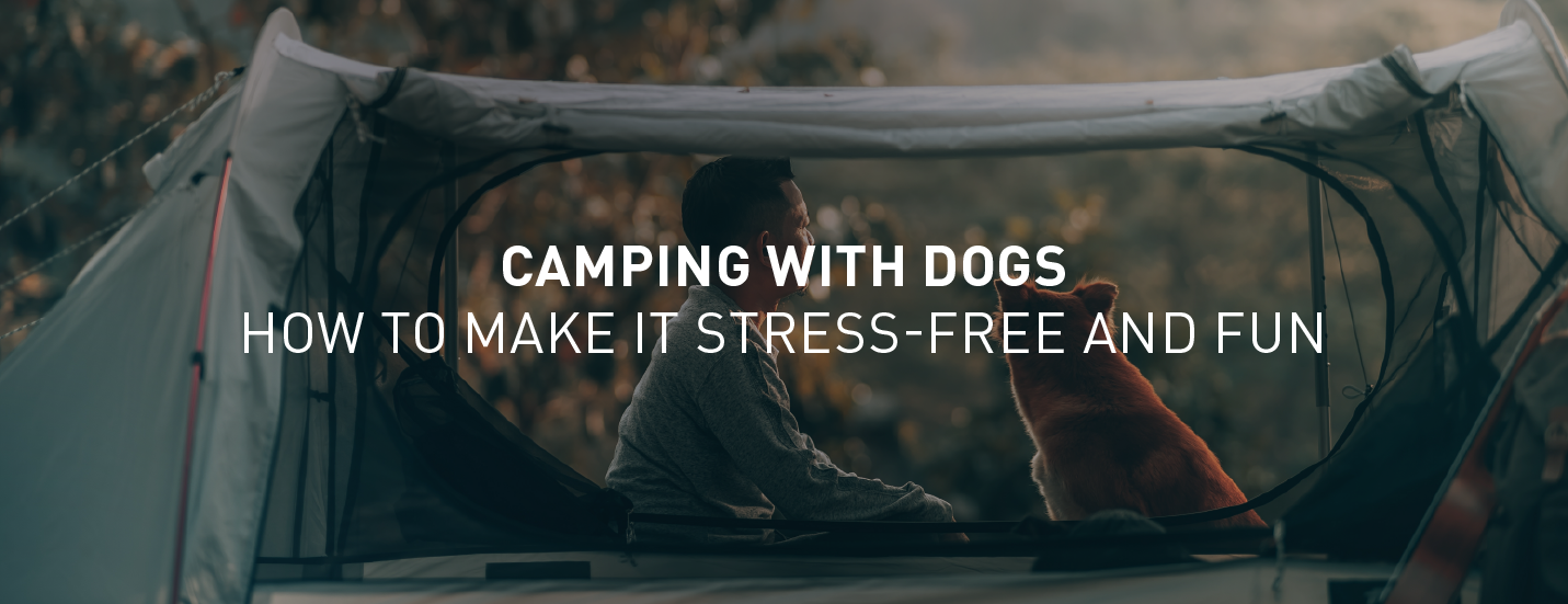 Camping With Dogs- How To Make It Stress-Free And Fun