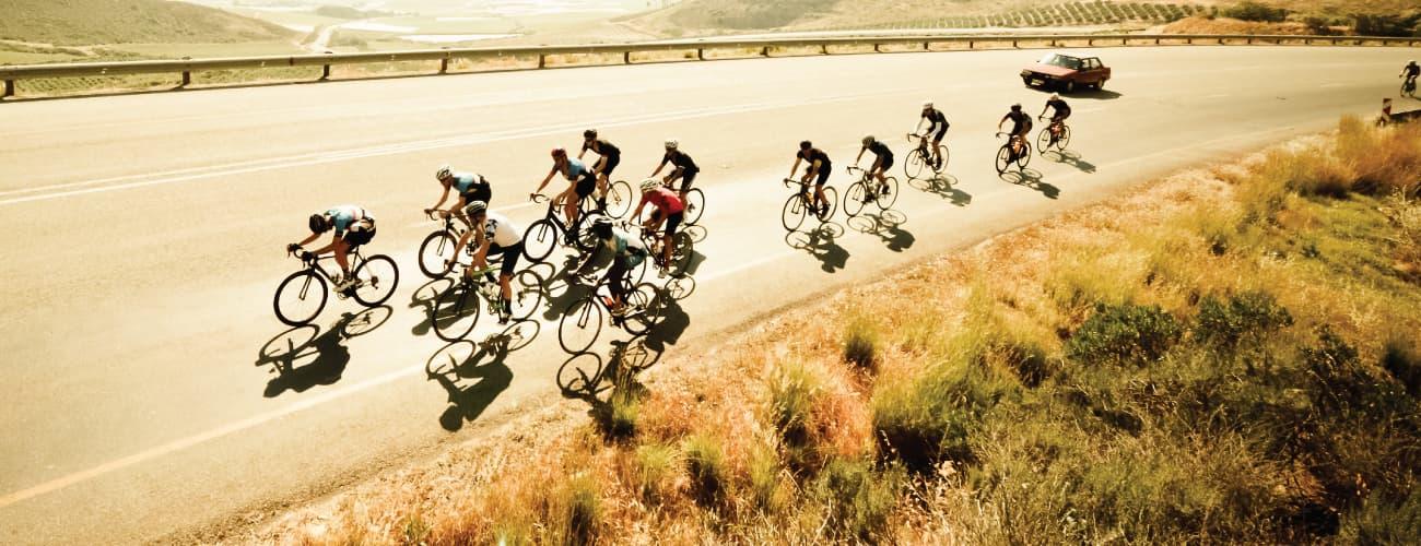 Complete Guide - Different Types of REID Bikes - Adventure HQ