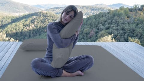BSENSIBLE Traveller Pillowcase
