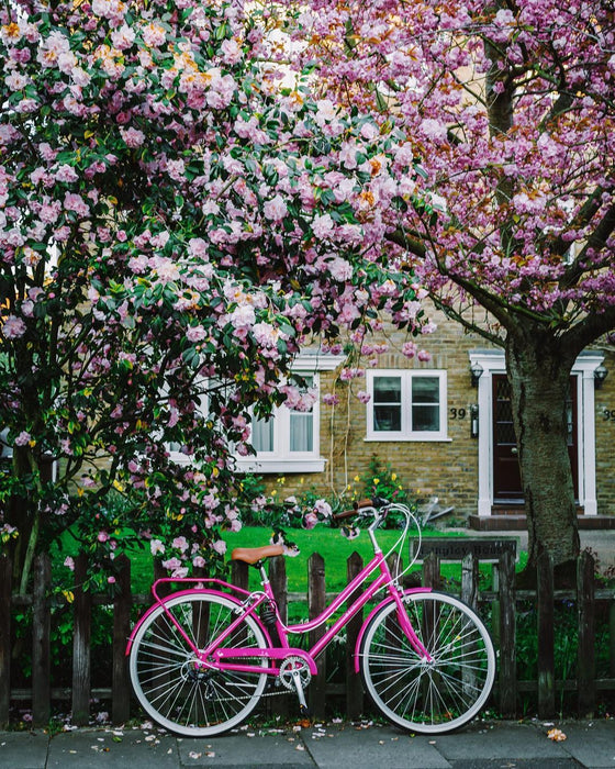 REID CYCLES Ladies Classic 7-Speed Vintage Bike Hot Pink