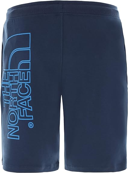 THE NORTH FACE Men's Graphic Short Light