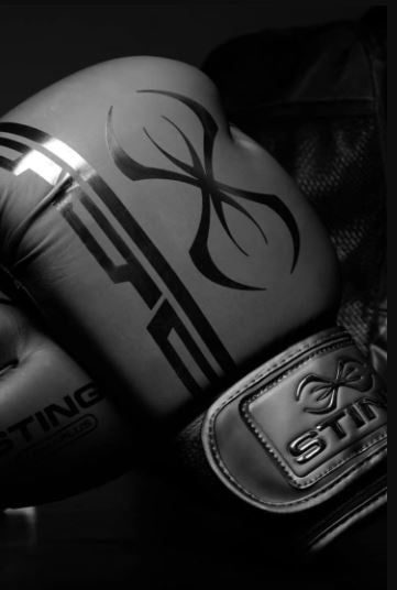 STING Armaplus Boxing Glove