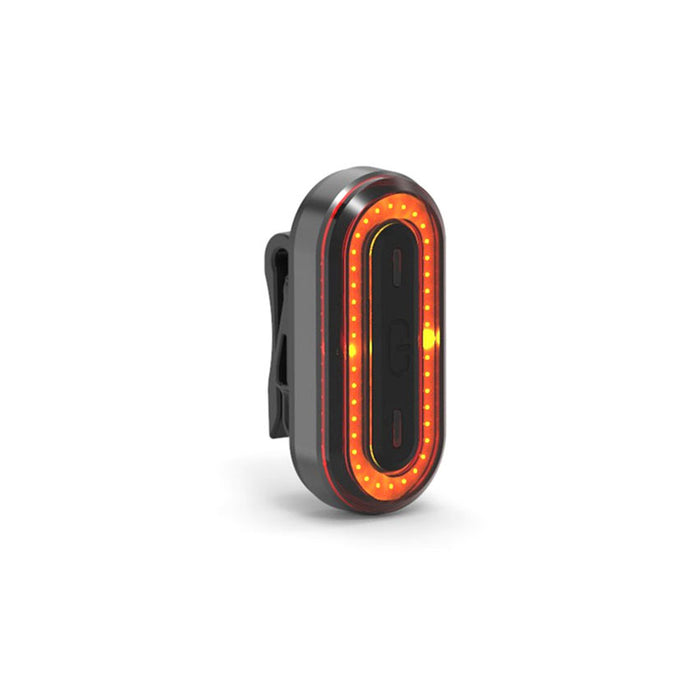 LELUMIA Circuit Rear Light