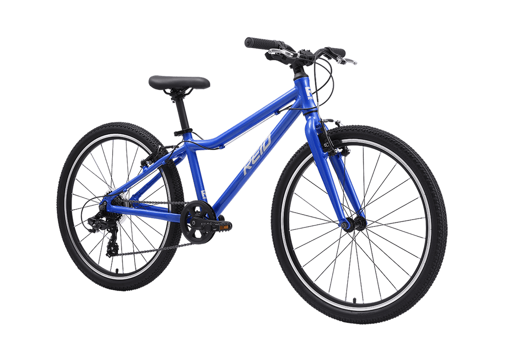 REID CYCLES Kid's Viper 24