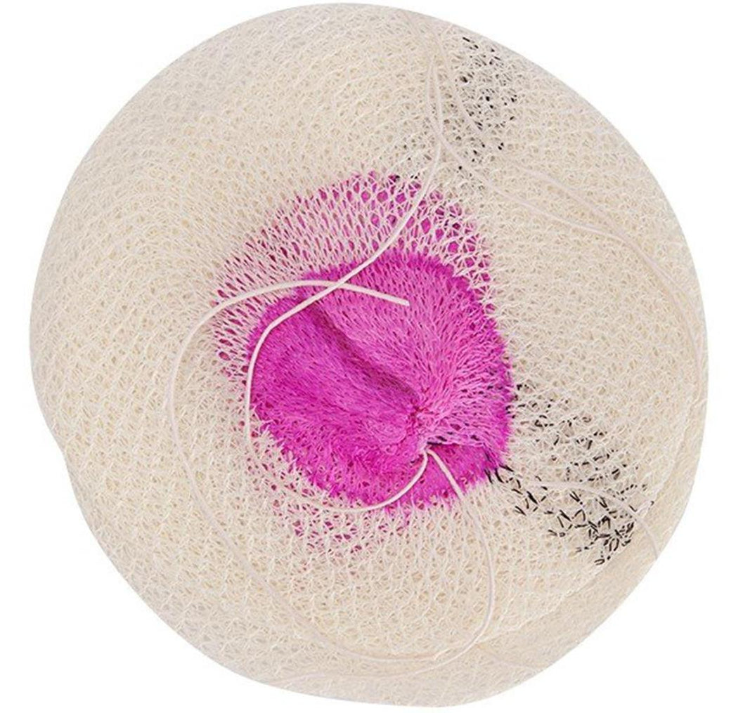 Buy KOVEA Replacement Lantern Mantle Kl894 Adventure HQ Adventure HQ