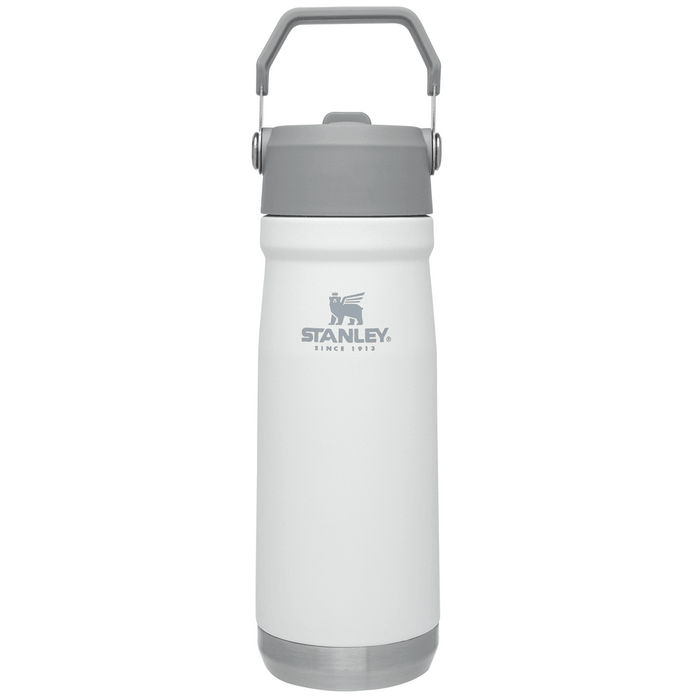 Stanley Flip Straw Insulated Stainless Steel Water Bottle, 22 oz 