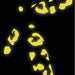 BOOKMAN Reflective Leopard Stickers - Yellow - Adventure HQ