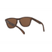 OAKLEY Frogskins Sunglasses - Adventure HQ